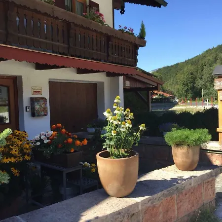 Gaestehaus Weinrebe *