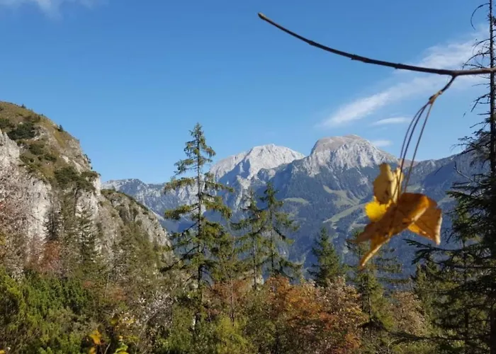Appartement Gaestehaus Weinrebe Schönau am Königssee